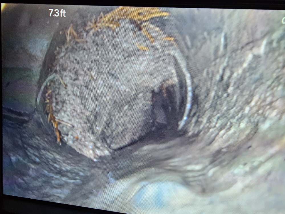 Drain Video Inspection